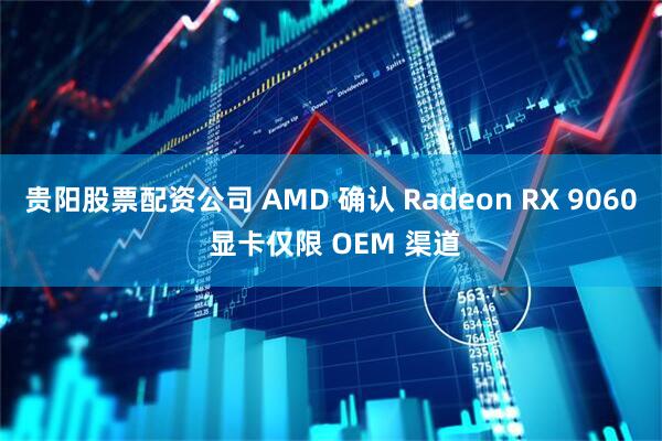 贵阳股票配资公司 AMD 确认 Radeon RX 9060 显卡仅限 OEM 渠道