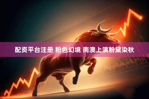 配资平台注册 粉色幻境 南澳上演粉黛染秋