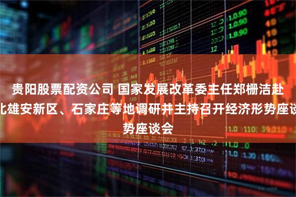 贵阳股票配资公司 国家发展改革委主任郑栅洁赴河北雄安新区、石家庄等地调研并主持召开经济形势座谈会