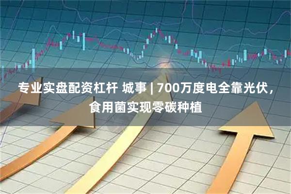 专业实盘配资杠杆 城事 | 700万度电全靠光伏，食用菌实现零碳种植