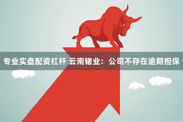 专业实盘配资杠杆 云南锗业：公司不存在逾期担保